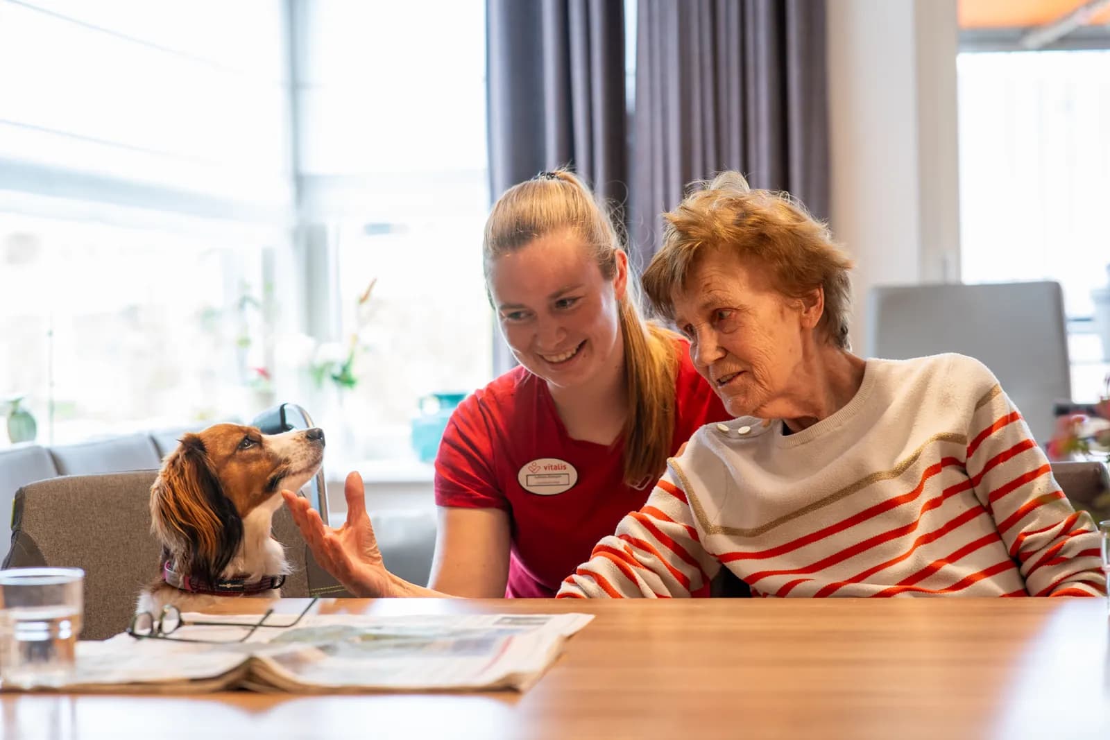 Oudere medewerker en hond