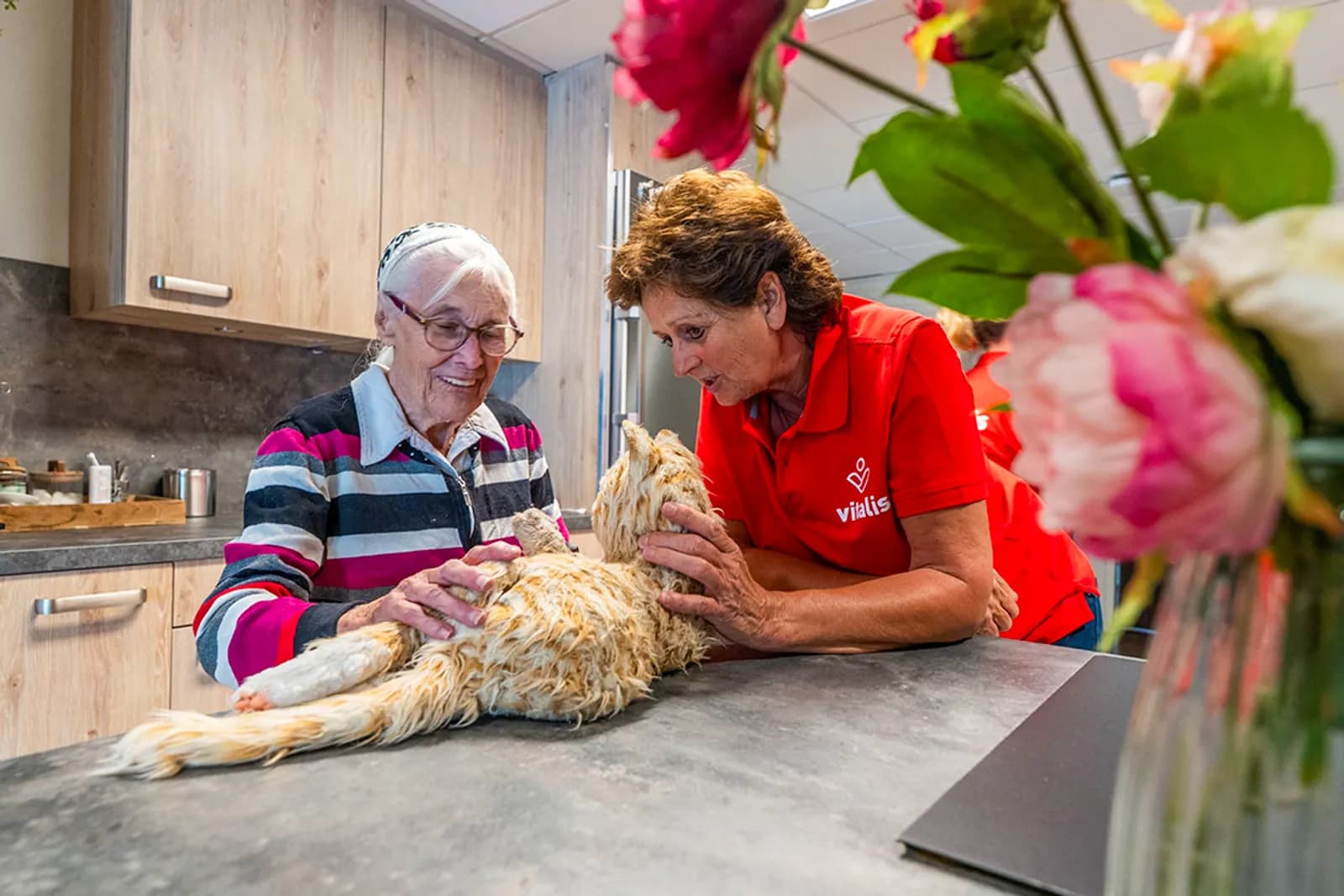 Medido, een medicijndispenser